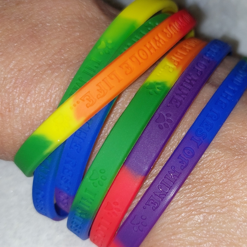 Rainbow Bridge Memorial Bracelet